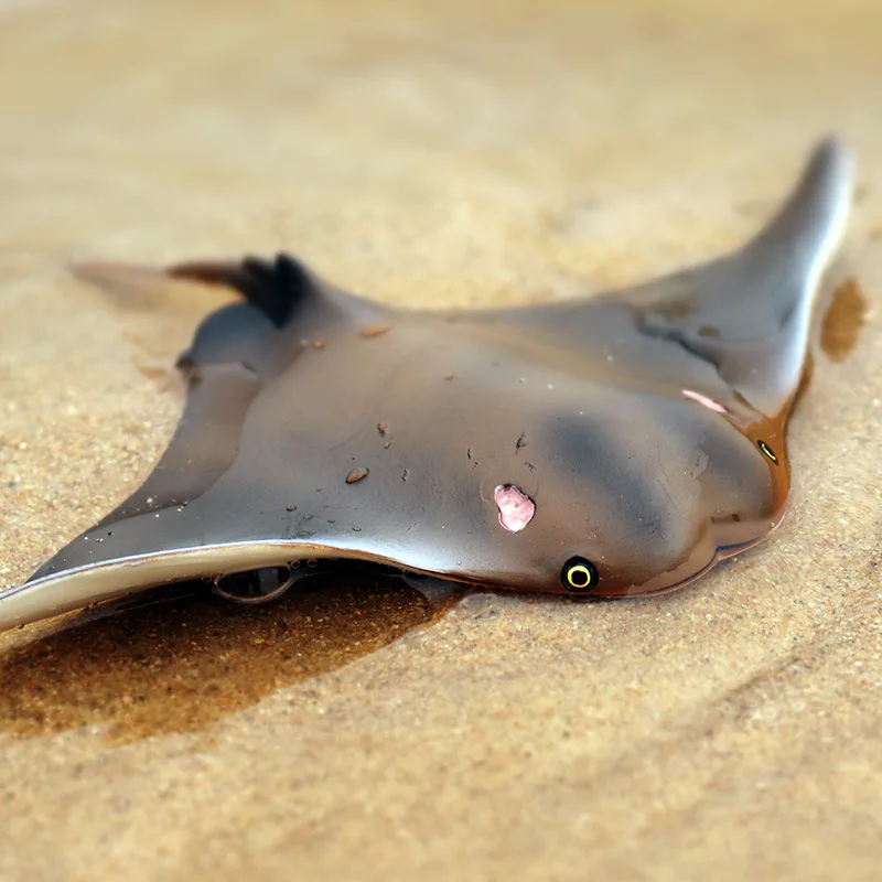 10805321184_1464955482