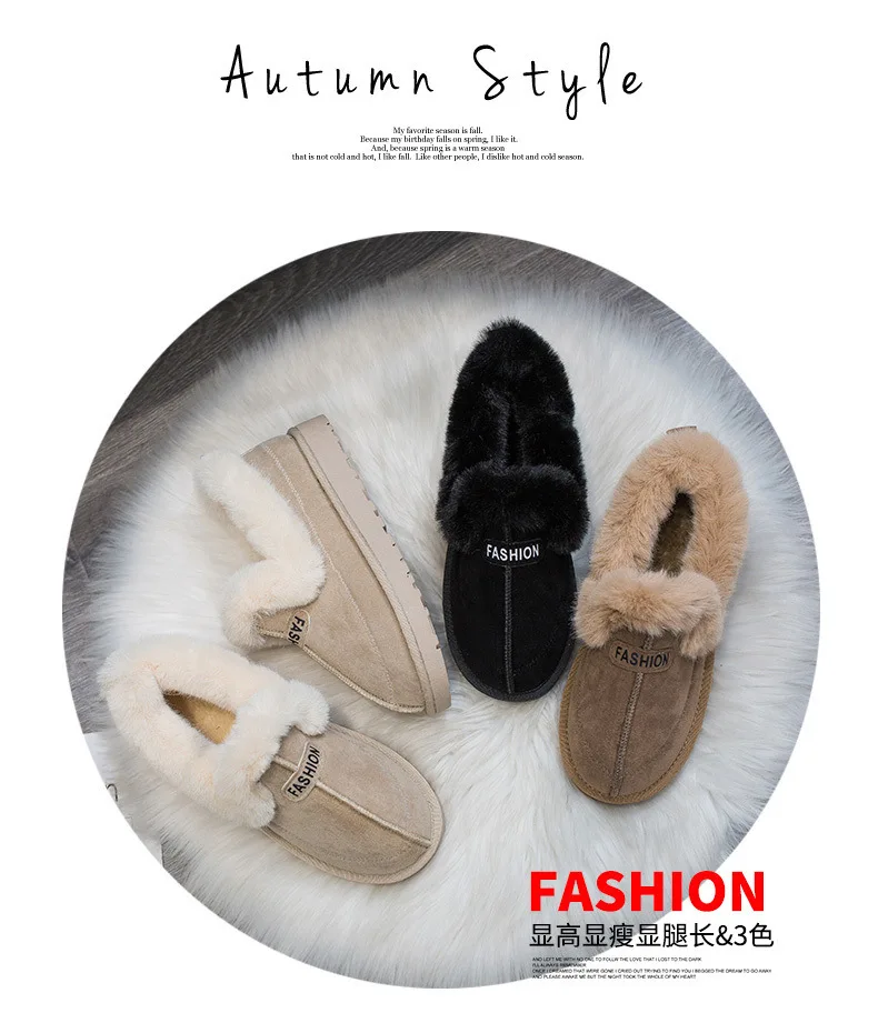 1_02.jpg