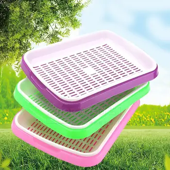 

Nursery Pots Seed Sprouter Tray Soil-Free Big Capacity Wheatgrass Grower Seedling Tray