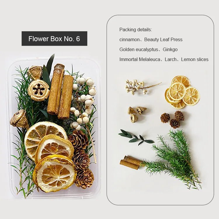 1 Box Real Dry Flower Dried Plants Natural Colorful DIY Frame Fan Embossing Materials Aromatherapy Candle Making Home Decoration 