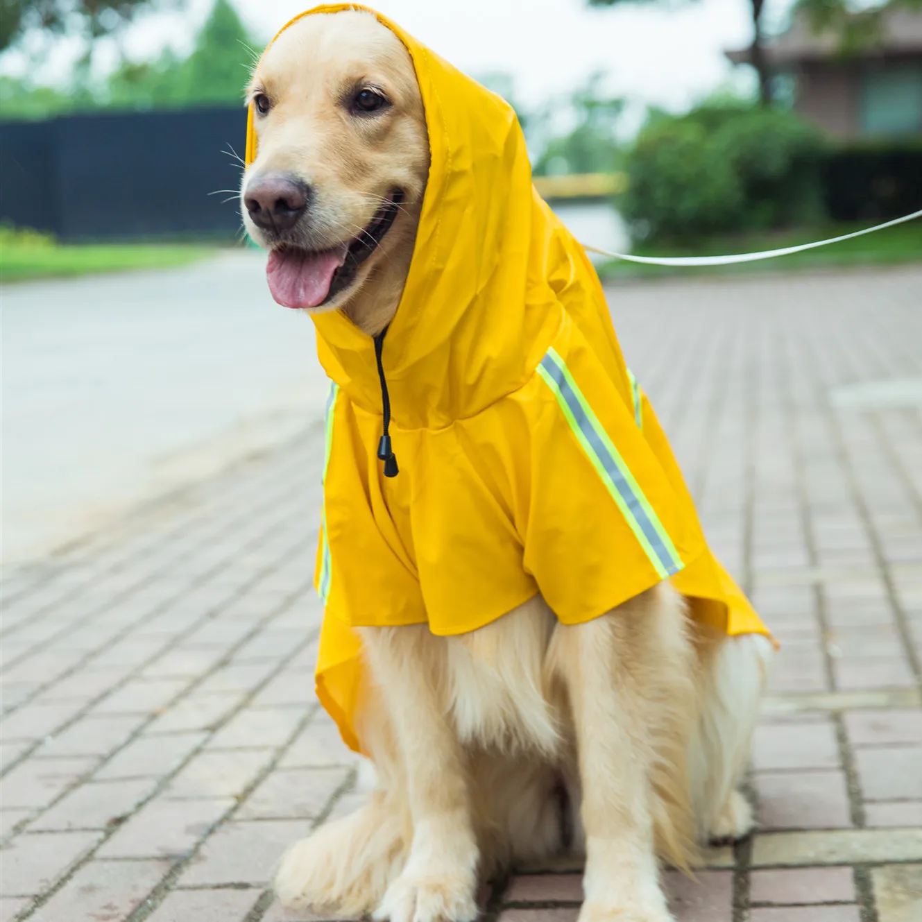 

Hipiodog Dog Raincoat Adjustable Waterproof Rain Jacket Poncho Hoodies with Reflective Strip for Large and Medium Dogs