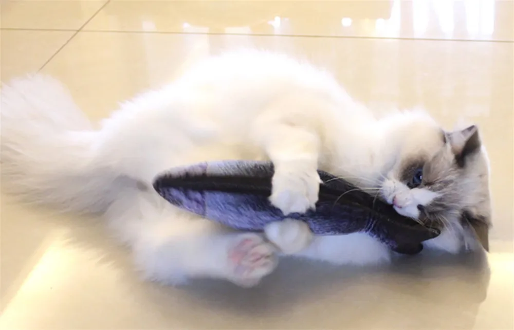 Pet-Soft-Plush-3D-Fish-Shape-Cat-Toy-Interactive-Gifts-Fish-Catnip-Toys-Stuffed-Pillow-Doll (6)