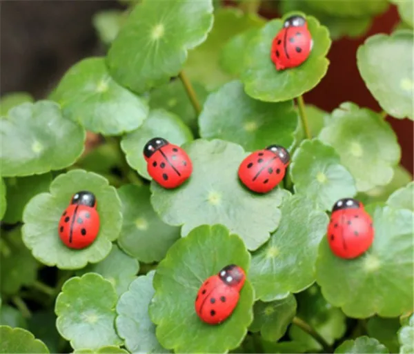 10 шт. миниатюрные украшения Coccinella septempipatata изделие из смолы «сделай сам» маленький садовый декор дерево Божья коровка