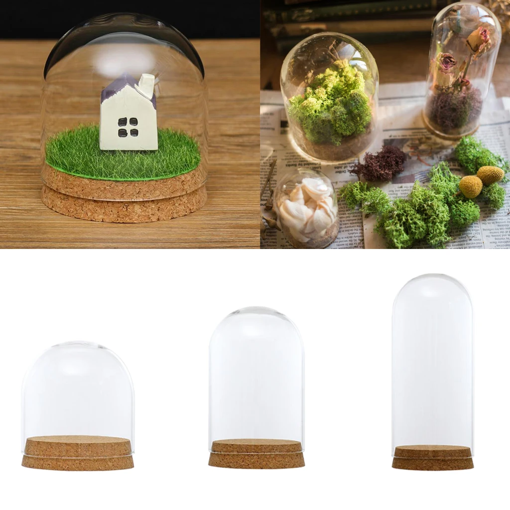 Clear Glass Dome Cover Cloche Jar Succulent Terrariums With Wood Cork Base