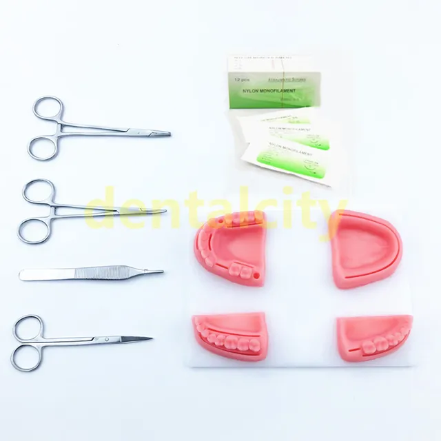 Dental practice kit, Oral model, Swaged needle, Training instrument kit with selica gel for Dental Students oral suture training Red