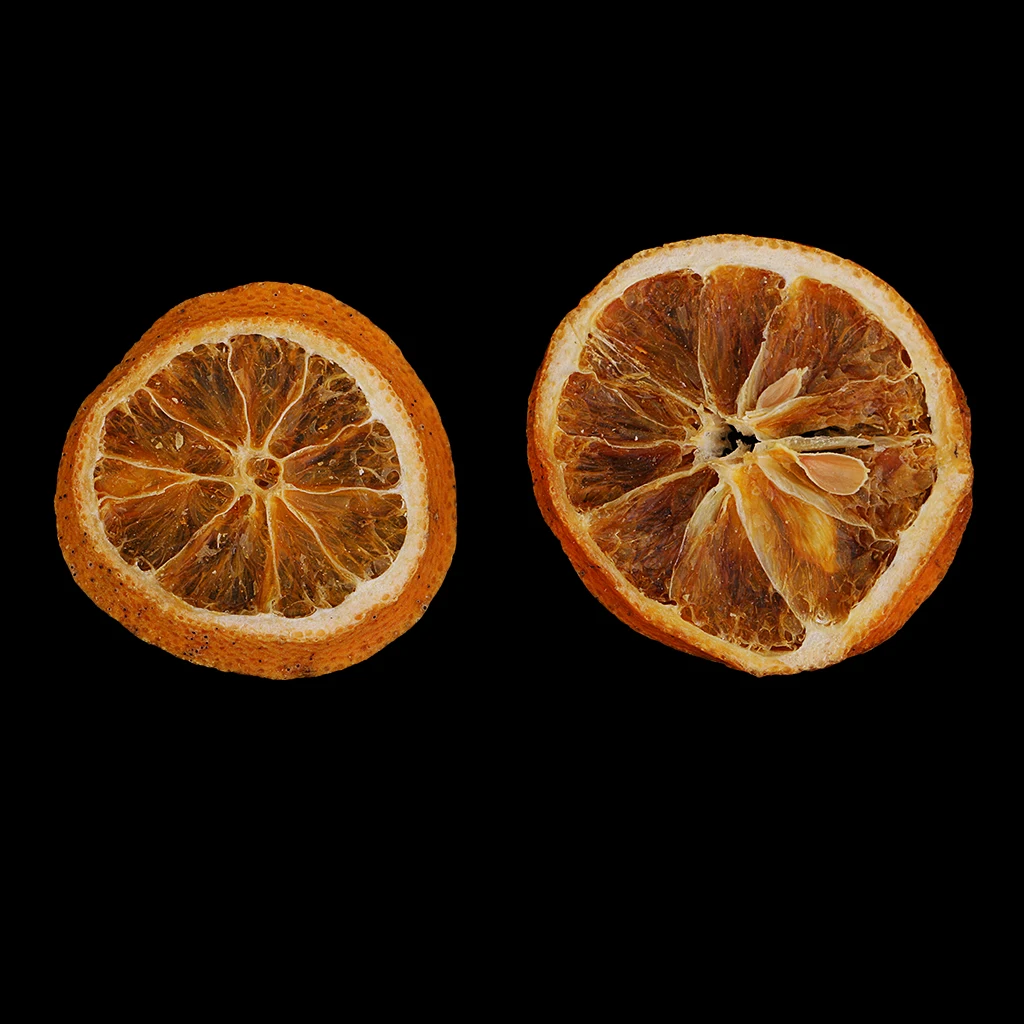 Dried Pressed Fruit Orange Slice For Resin Casting Jewelry Making Phone Case