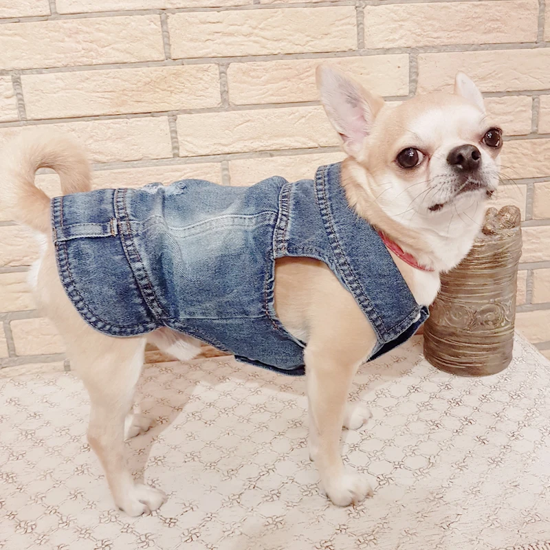 Dog Denim Jacket for Small Medium Dogs Spring Autumn Dog Clothes