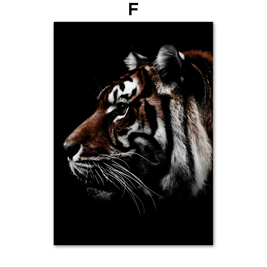 Lion-Tiger-Panther-Zebra-Bull-Wall-Art-Canvas-Painting-Nordic-Posters-And-Prints-Animal-Wall-Pictures (8)