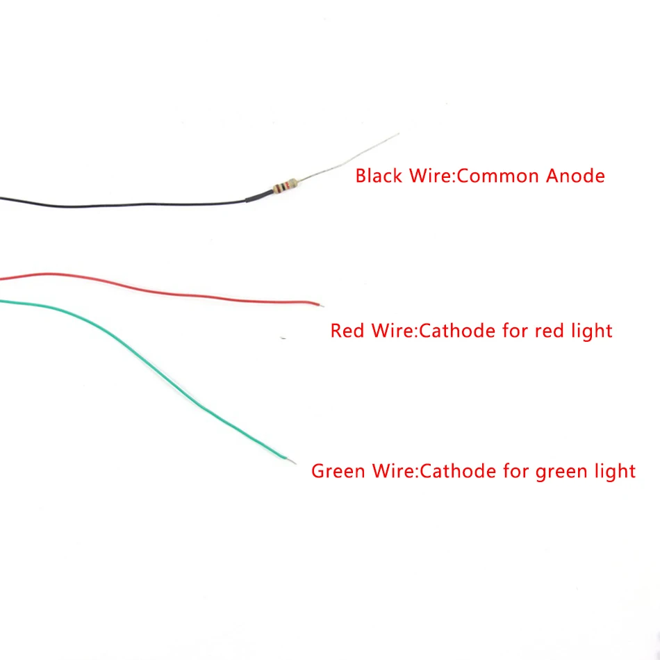 model-light-6