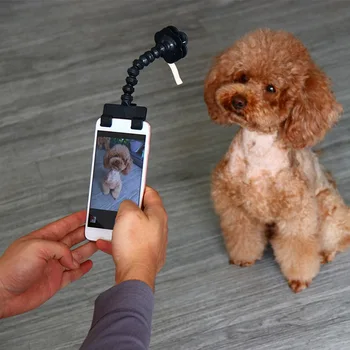 

Dog Cat Selfie Stick Clamp Treat for Attracting Pet Easier Take Photo for Pet Attachment Selfie Training Toy#