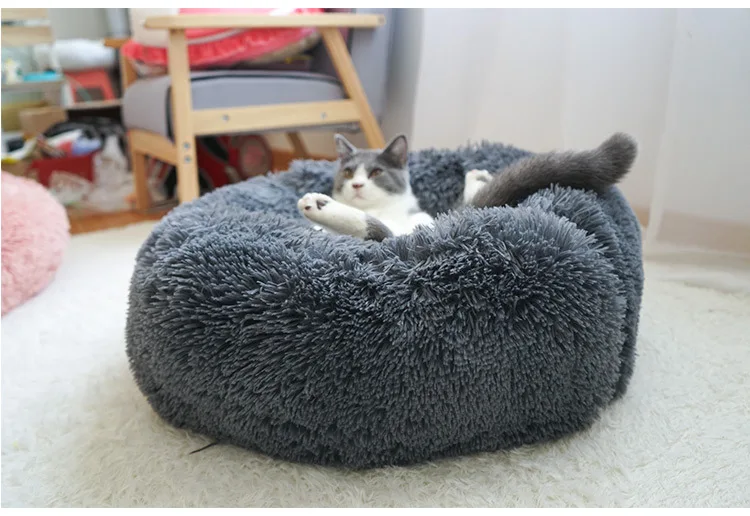 11399606788_55501388