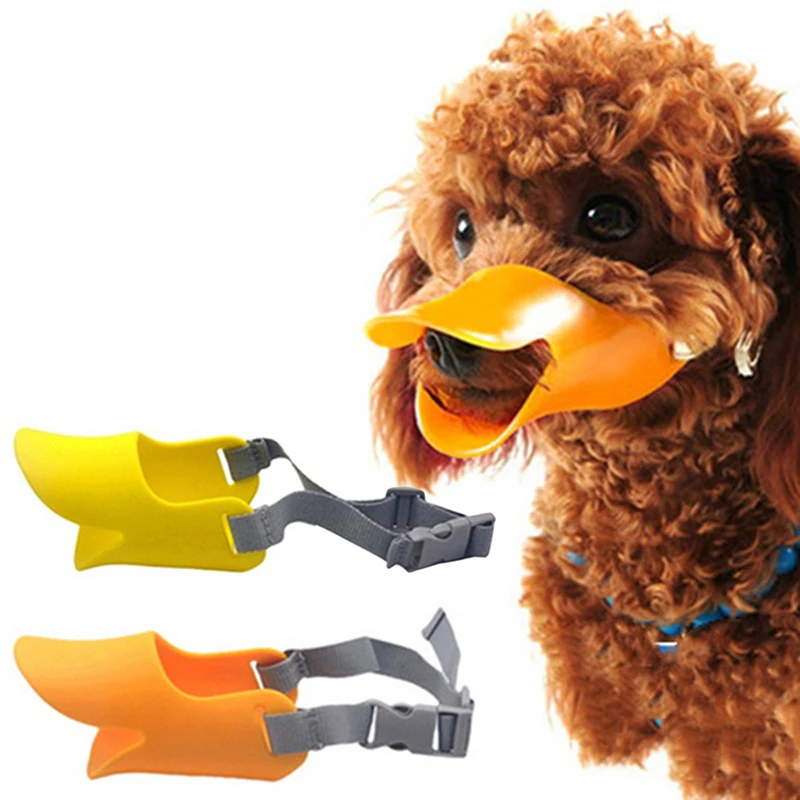 Can A Dog Still Bite With A Muzzle