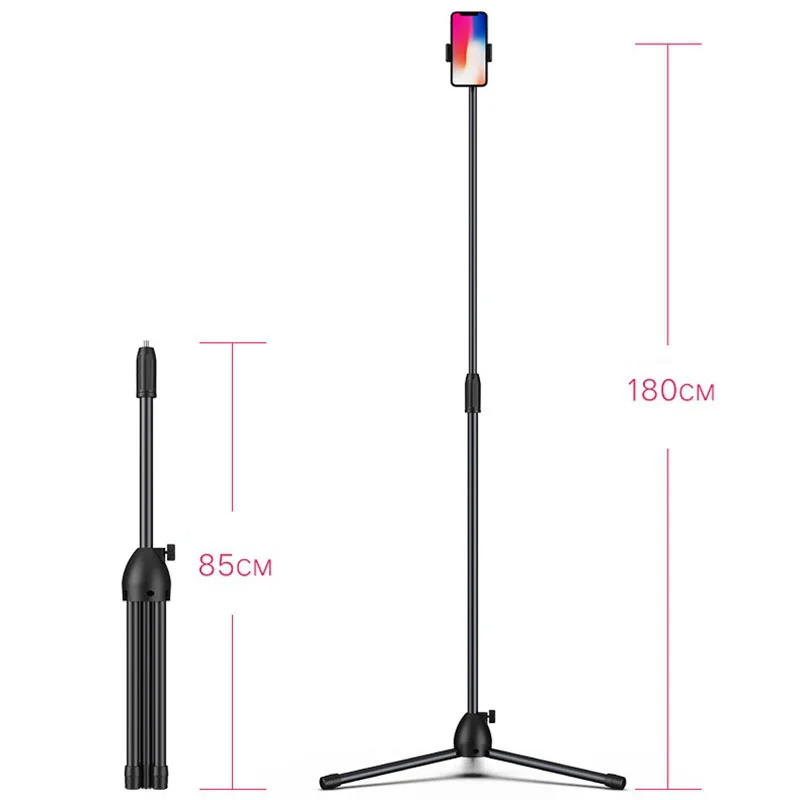 10386718156_1446728493