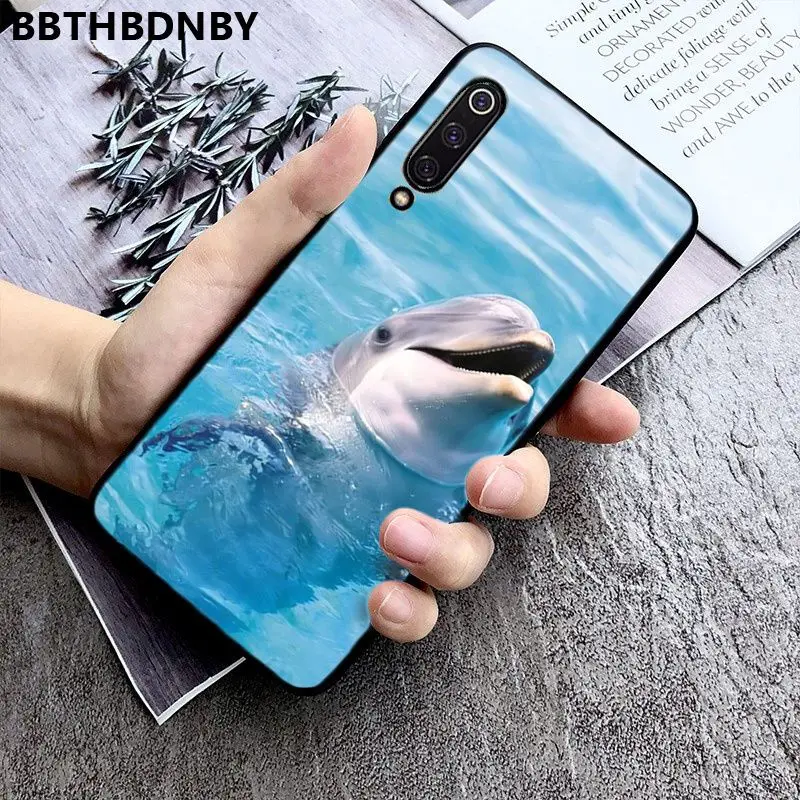 Dolphin