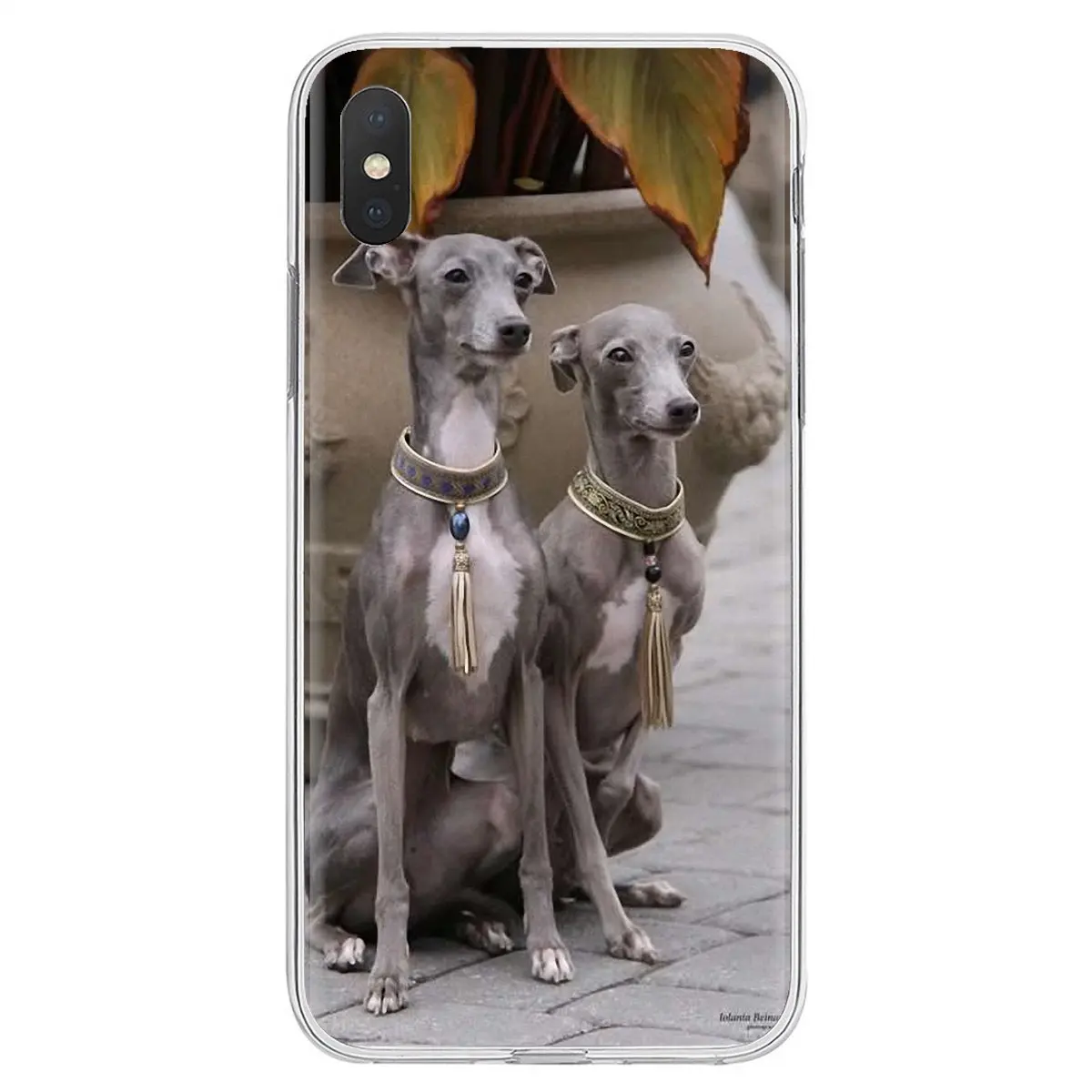 Силиконовый чехол для телефона iPhone 11 Pro 4 4S 5 5S SE 5C 6 6S 7 8 X XR XS Plus Max For iPod Touch I Love My Whippet
