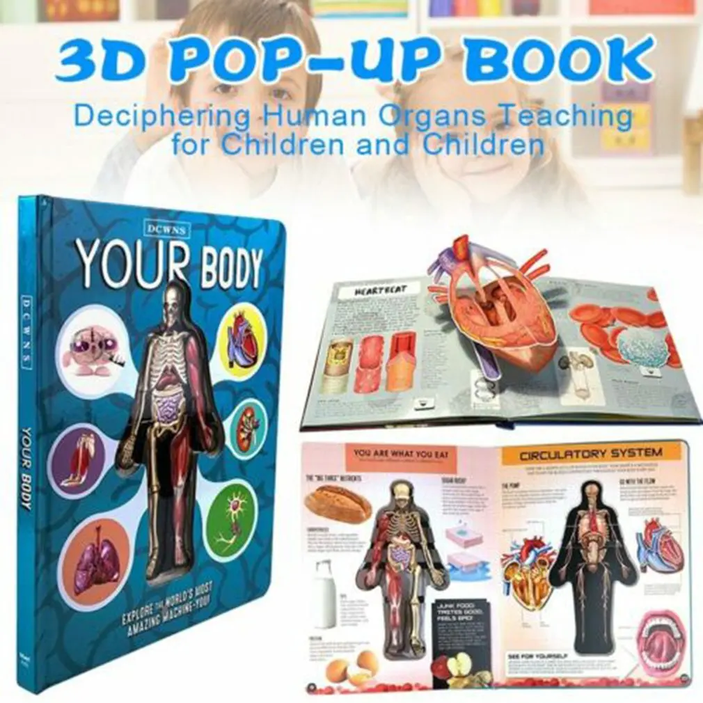

Human Body 3D Picture Book Anatomy of The Human Body in English Popular Science 3D Book Early Education Book for Kid Xmas Gift