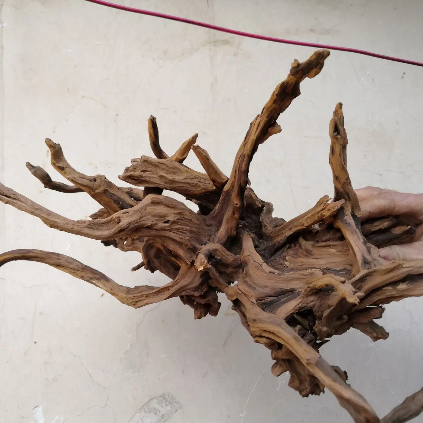 Different Good Shape Thailand Tree Branches Drift Wood Aquarium