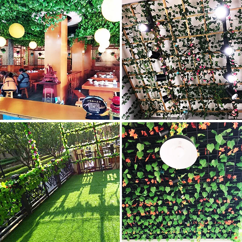 11116863173_1451029161