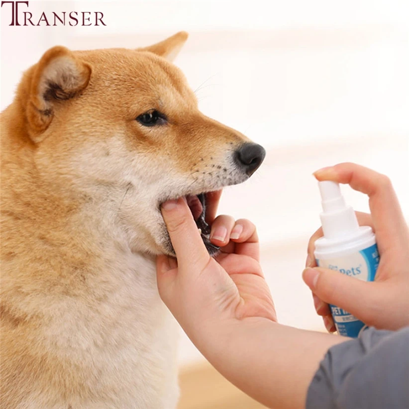 Товары для домашних животных Transer 100 мл, спрей для полости рта, для чистки зубов, освежитель, для собак, кошек, стоматологический спрей, очиститель 9904
