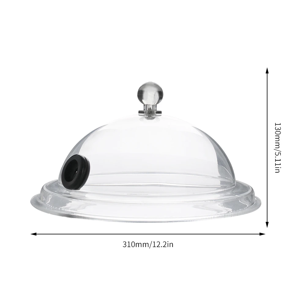 31cm