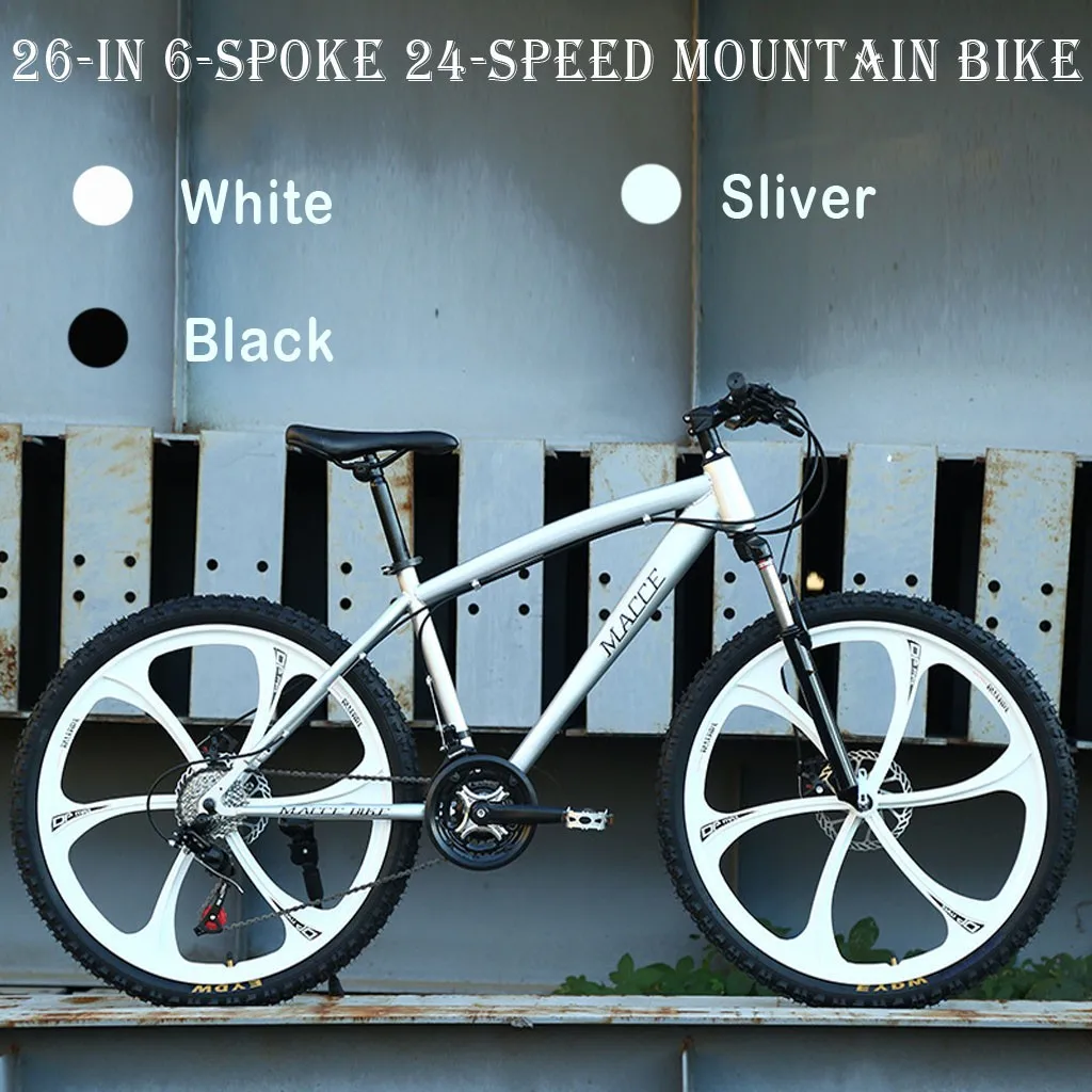 24 speed bicycle