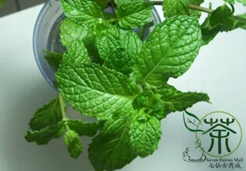 

Mentha Arvensis Wild Mint Field Mint Liu-Lan-Xiang