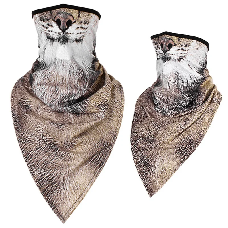 06 虎斑猫_6