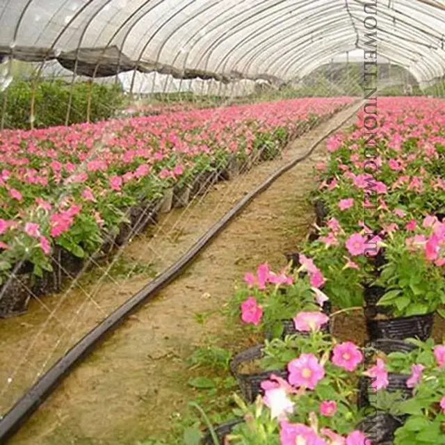Tuyau d'irrigation perforé pour jardin et ferme, assujetde odorà eau