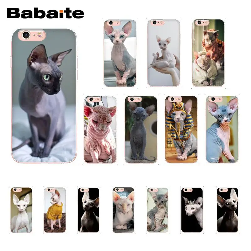 Чехол для телефона sphynx cat iphone 12 11 Pro 11Pro Max 8 7 6 6S Plus X XS MAX 5 5S SE XR 12mini | Мобильные