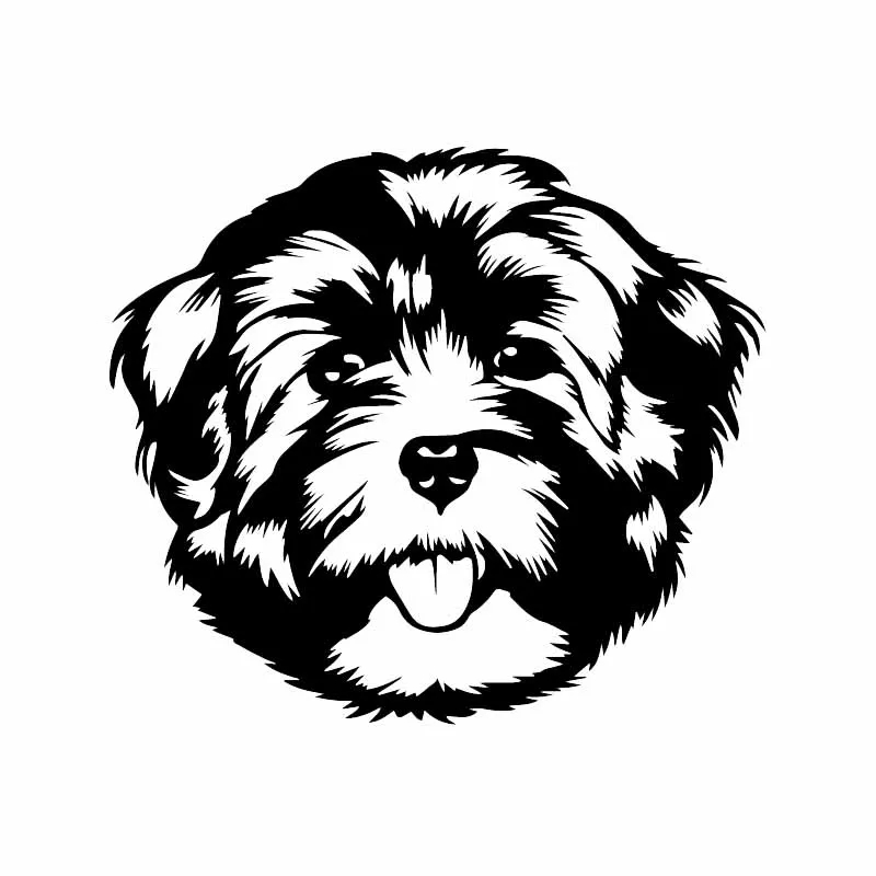 YJZT 16,1X14,1 см милый стикер для автомобиля с изображением животных Виниловая наклейка для лица с изображением хаванца собака порода черный/серебристый C24-1532 - Название цвета: Черный