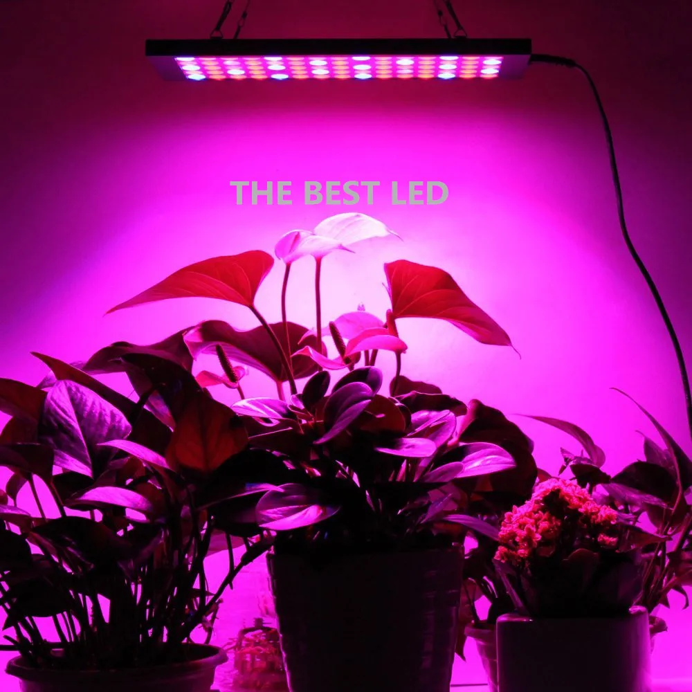 Full Spectrum 100W LED Grow Light Panel AC85~265V Greenhouse Horticulture Grow Lamp for Indoor Plants Flowering Growth Tent