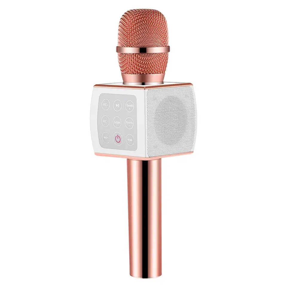 i dance karaoke speaker and microphone