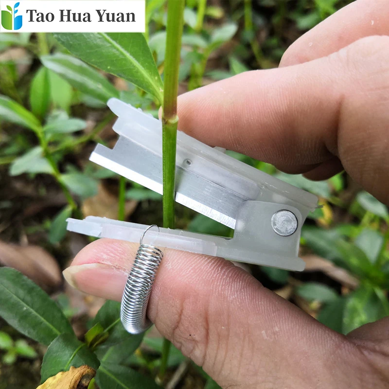 主图_14333237831_411474063