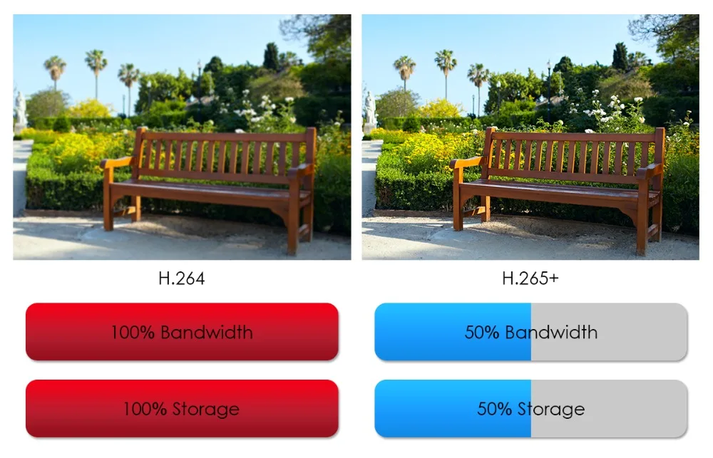 500w详情-h265对比