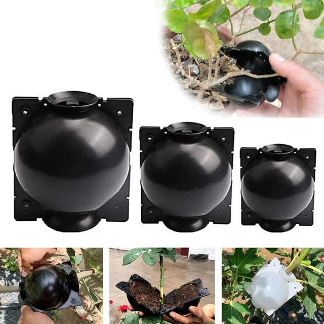 Növényi Gyökérgolyó Golyó Oltó Gyökérgyűjtő Doboz Tenyésztési Tok Transzplantációs Berendezés Kerti Szaporító Szerszámokhoz - Image 6