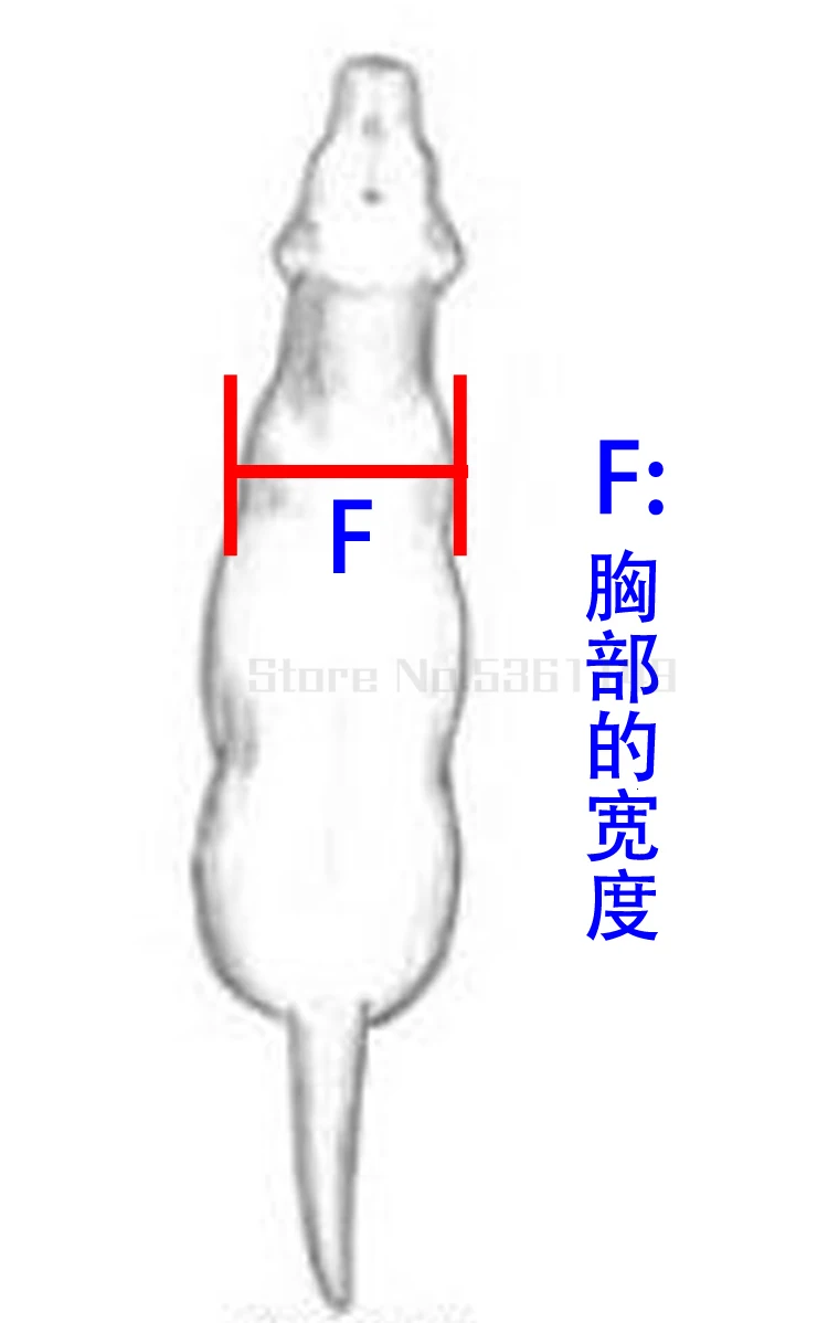 Кресло-коляска для пожилых собак Forelimb четырехколесный для домашних животных предвзятый автомобиль для собак передняя нога для инвалидов автомобиль конечности тела гиена вспомогательное транспортное средство