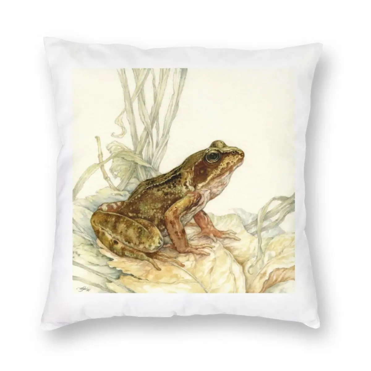 

European Common Frog Square Pillowcase Polyester Linen Velvet Printed Zip Decor Pillow Case Room Cushion Case