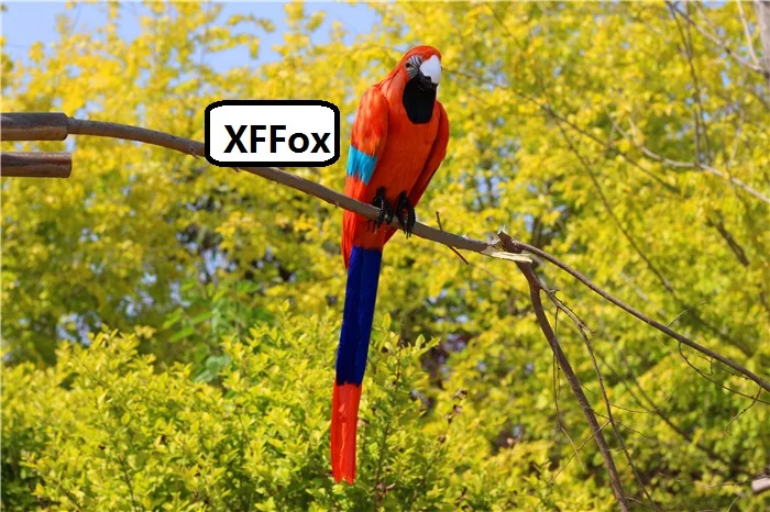 TB268MFqXuWBuNjSspnXXX1NVXa_!!1093335461