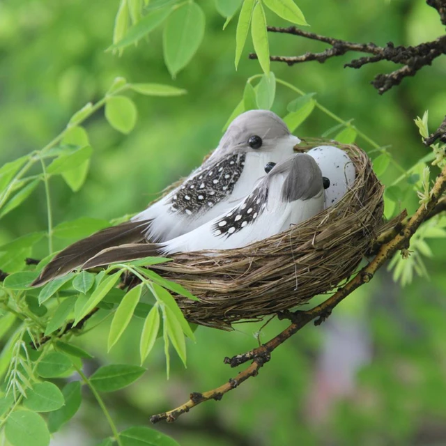 Cage de nid d'oiseau créative, décoration de nid d'oiseau longue durée,  décor de nid d'oiseau Miniature tissé, perroquet suspendu, maison, jardin -  AliExpress