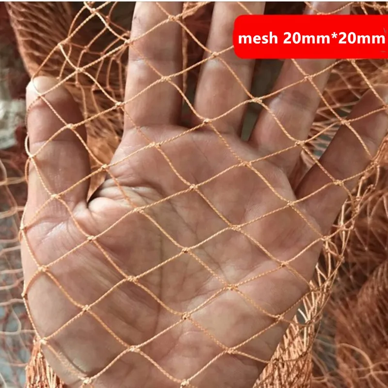 20mm mesh
