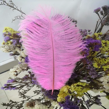 

Wholesale 100pcs Deep Pink feathers ostrich plumes 15-25 CM for DIY crafts feathers for crafts Decoration plumes