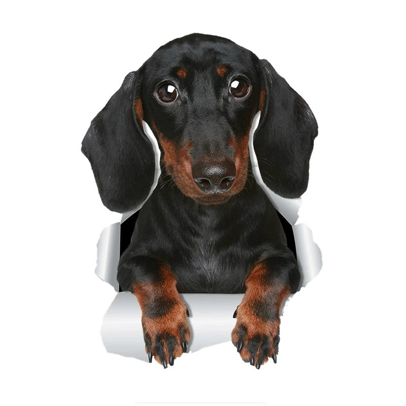 

3D Cute Dachshund Sausage Dog Sticker Car Sticker Decal for Wall Car Toilet Room Luggage Skateboard Laptop