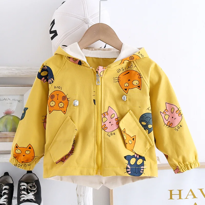 16782730008_123563804