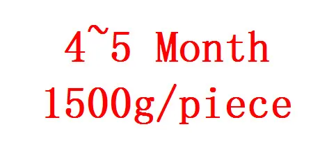 4-5 MONTH 2~ 3 месяца 1000 г/шт. силиконовый живот с подтяжками брюки поддельные беременный живот для ложной беременности живот жир живота - Цвет: 4-5 MONTH