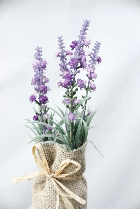 Babysbreath Meldel, искусственный цветок, трава, растение, наклейка на холодильник, бонсай, магнит, зеленые растения, креативные искусственные растения в горшках, домашний декор для стен - Цвет: Babysbreath