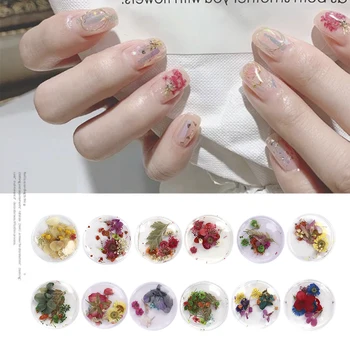 

DIY Small Fresh Natural Beautiful Small Daffodil Flowers Gypsophila Nail Accesoires Dried flowers 3D Nail Art Decoration Designs