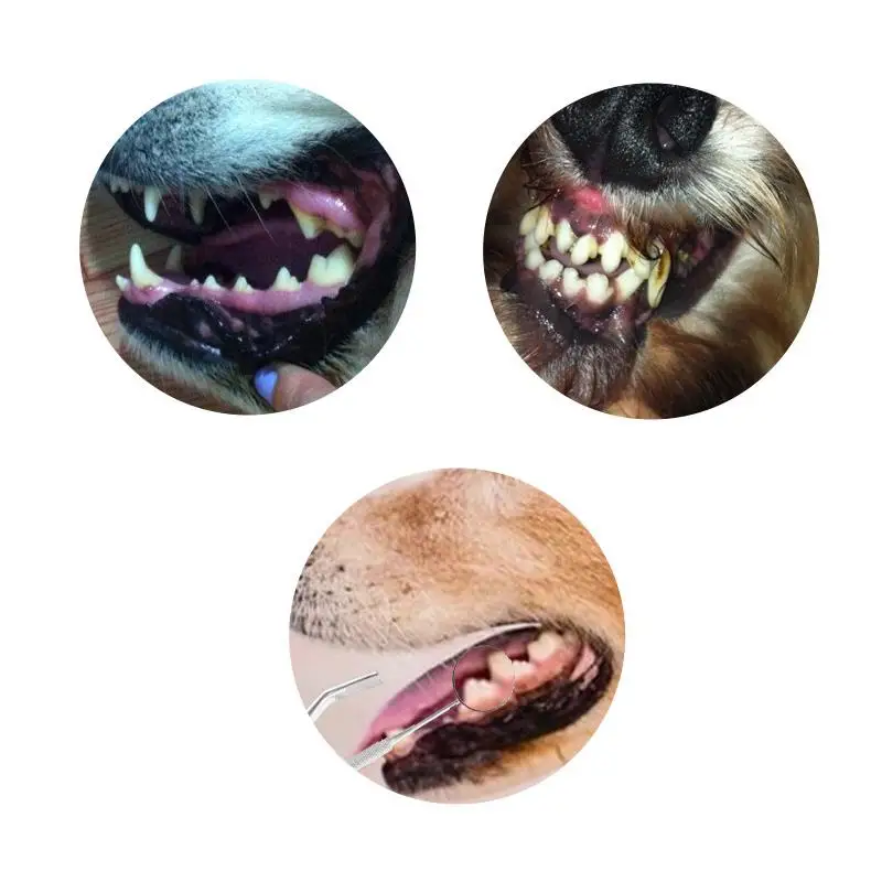 10967252374_1891774041