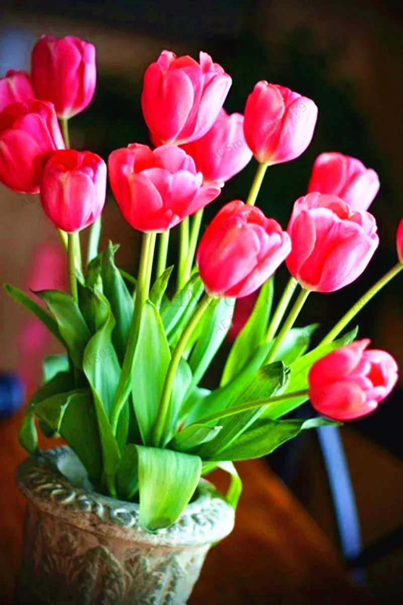 103 шт./пакет в форме тюльпана от flores Редкие бонсай растения, красивые тюльпаны в горшке, многолетнее на приусадебных участках, а также в форме тюльпана от завода