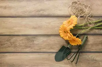 

SHUOZHIKE Vinyl Custom Photography Prop Flower Wood Planks theme Photo Studio Background S191025-284577