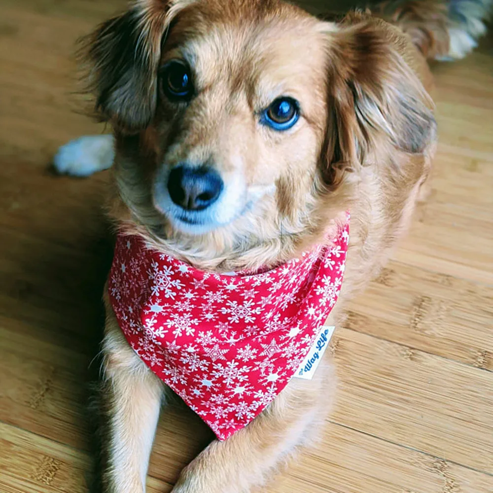 

Custom Christmas Dog Bandana, Red Dog Scarf, Bandana for Dogs Doggies, Winter Snowflake Dog Bandana, Dog Gift, Dog Lover Gift,